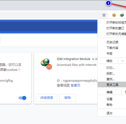 [详细教程] Google Chrome 离线安装crx扩展和解压的扩展程序 2021