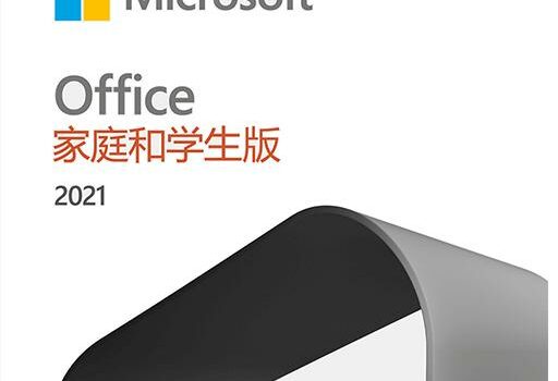 Office 2021 家庭和学生版办公软件/本站专属优惠 50 元/优惠后￥548