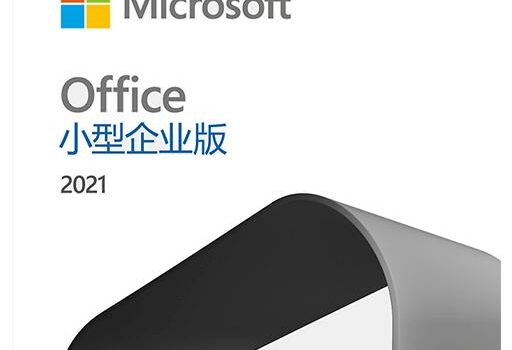 Office 2021 小型企业版商用办公软件/本站专属优惠 50 元/优惠后￥648