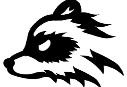 极度扫描 OCR 图文识别 PDF、图片、表格工具软件/价格￥58